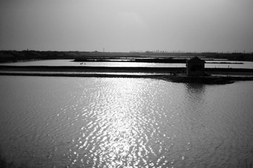 _MG_6735.jpg