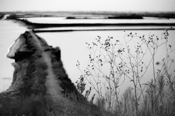 _MG_6746.jpg