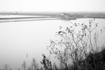 _MG_6749.jpg