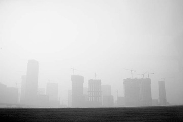 _MG_7938.jpg