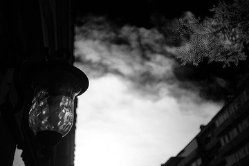 _MG_8030.jpg