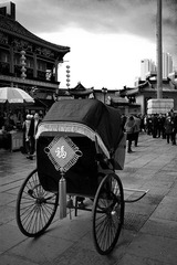 _MG_8253.jpg