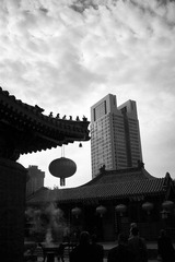 _MG_8261.jpg