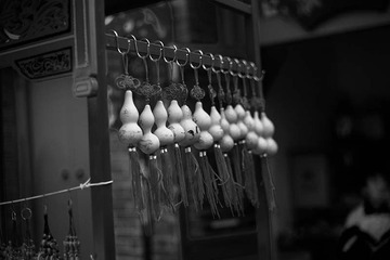 _MG_8264.jpg