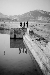 _MG_9737.jpg