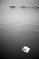 _MG_9851.jpg