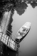 _MG_9092.jpg
