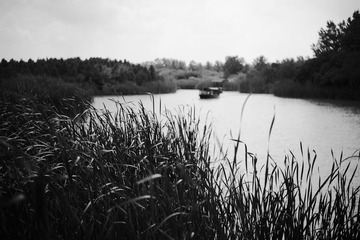 _MG_9315.jpg