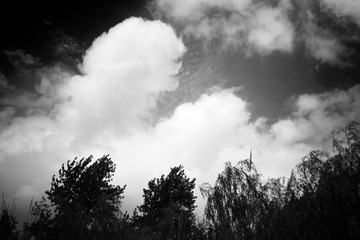_MG_9370.jpg
