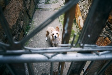 _MG_0178.jpg