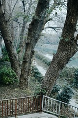 _MG_1052.jpg