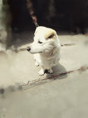 55727