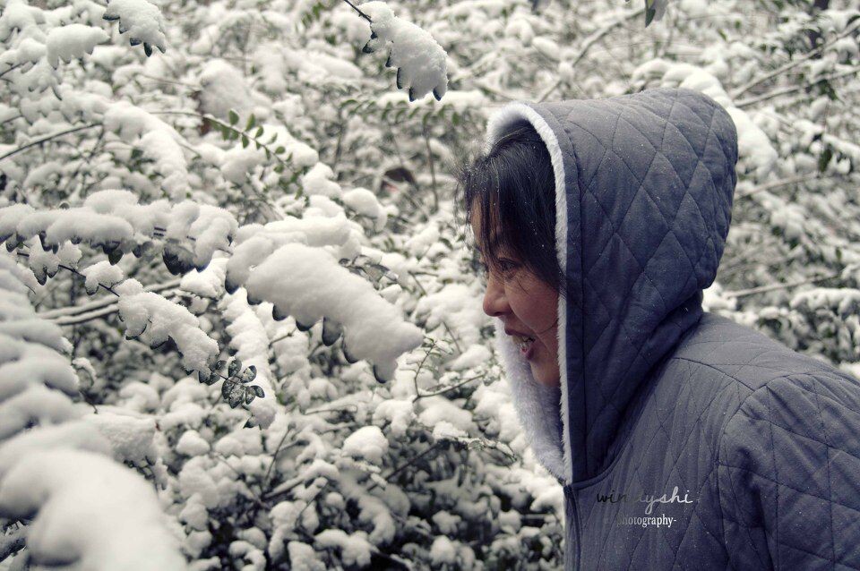 老妈看雪<br />

