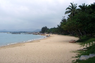 SSL10836.JPG