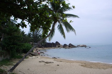 SSL10839.JPG