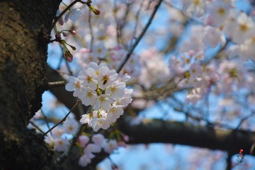 C849F84B-0F69-4256-BF15-991A83BD19BC/L0/001