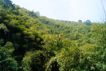 DSC04663.JPG