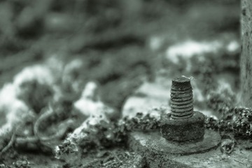 _MG_2142.jpg