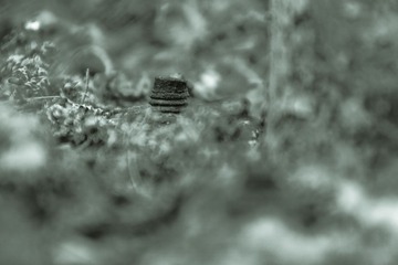 _MG_2146.jpg