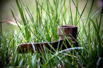 _MG_2157.jpg