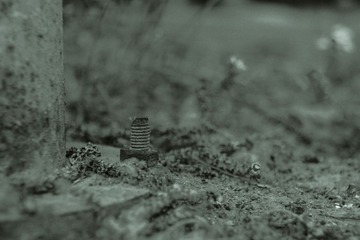IMG_2152.jpg
