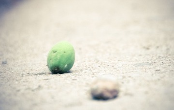 IMG_2190.jpg
