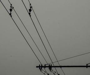 _MG_3687.jpg