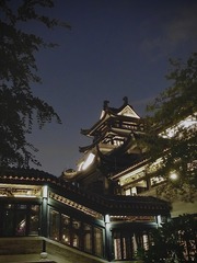 DF6B1D79-97F3-4967-9F2E-09928AB91108/L0/001