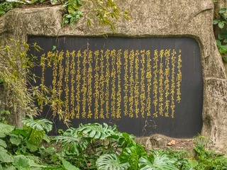 A8612D7F-DD52-4AA3-915F-3E57C7919381/L0/001
