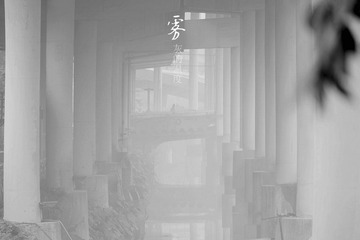DSC01626_