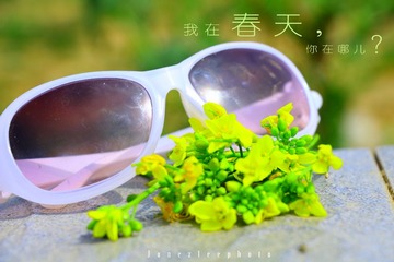 IMG_4319副本.jpg