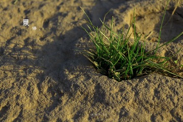 IMG_6097.jpg