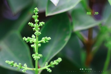 IMG_6272副本.jpg