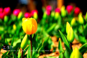 IMG_3214副本.jpg