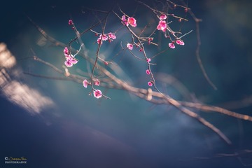 傲梅