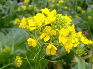 20130218569.jpg