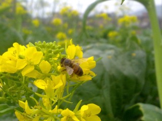 20130218571.jpg