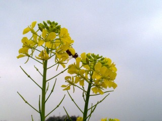 20130218572.jpg