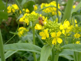 20130218573.jpg