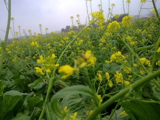 20130218574.jpg