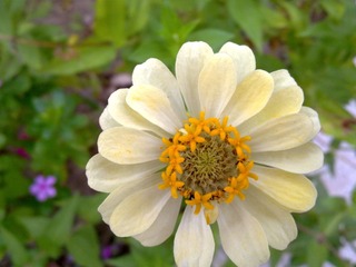 20111002198.jpg