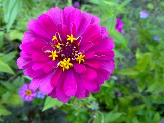20111002200.jpg