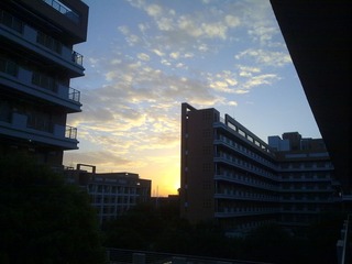 20120619207.jpg