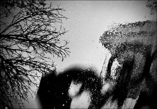 雨中即景<br />
