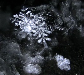 CIMG7222.jpg