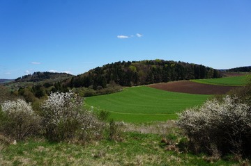 DSC02402.JPG