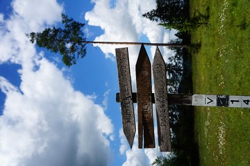 DSC09339.JPG