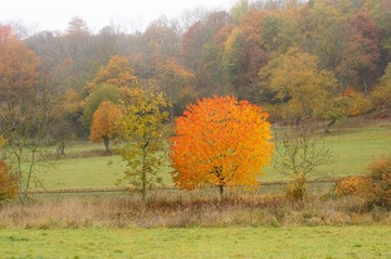 DSC01177.JPG