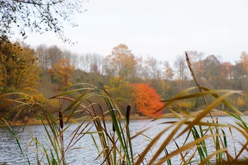 DSC01420.JPG