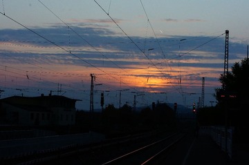 DSC01528.JPG